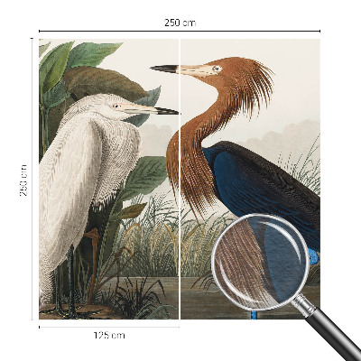 Vliesová fototapeta na zeď Ptáci v rostlinách