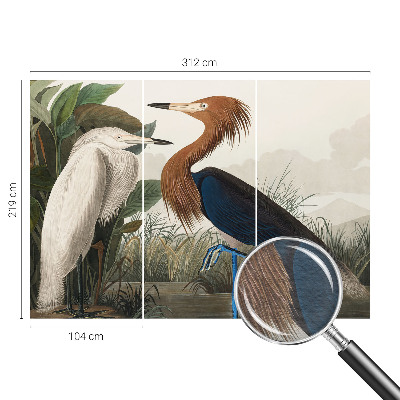 Vliesová fototapeta na zeď Ptáci v rostlinách