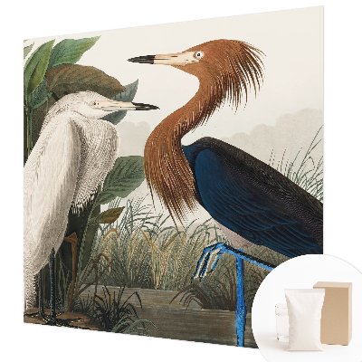 Vliesová fototapeta na zeď Ptáci v rostlinách