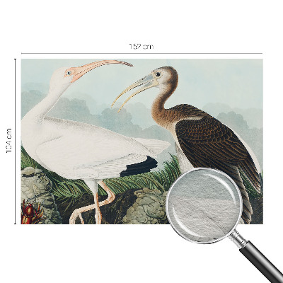 Fototapeta na zeď Ptačí pár