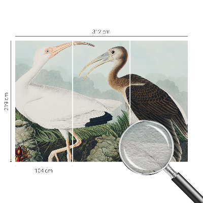 Fototapeta na zeď Ptačí pár