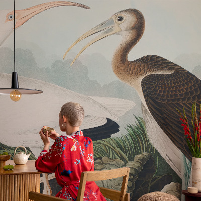 Fototapeta na zeď Ptačí pár