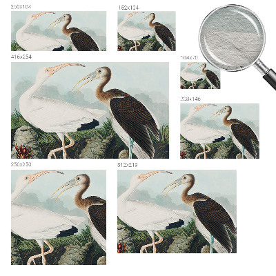 Fototapeta na zeď Ptačí pár