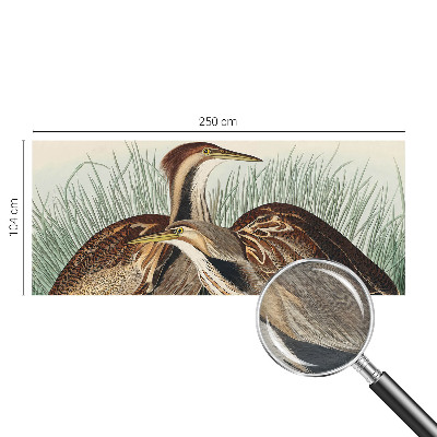 Fototapeta do obýváku Realističtí ptáci