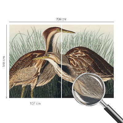 Fototapeta do obýváku Realističtí ptáci