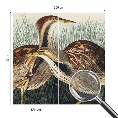 Fototapeta do obýváku Realističtí ptáci