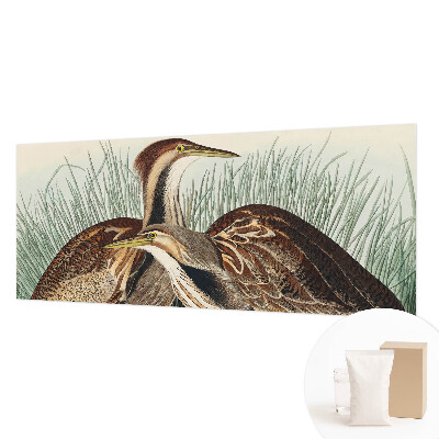 Fototapeta do obýváku Realističtí ptáci