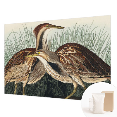 Fototapeta do obýváku Realističtí ptáci