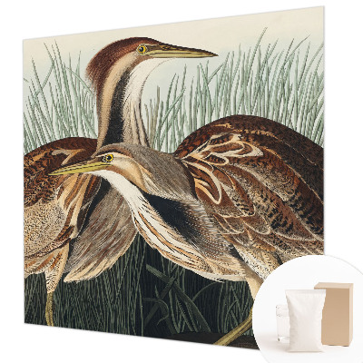 Fototapeta do obýváku Realističtí ptáci