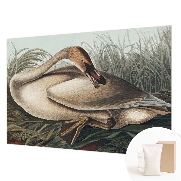 Fototapeta do ložnice Přírodní pták