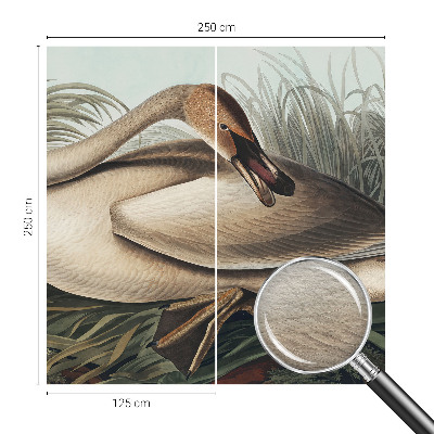 Fototapeta do ložnice Přírodní pták