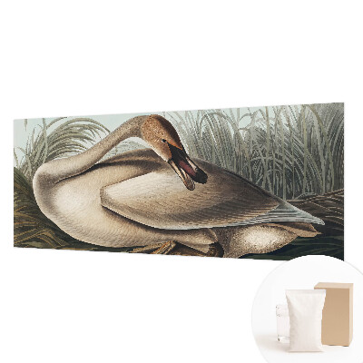 Fototapeta do ložnice Přírodní pták