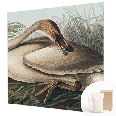 Fototapeta do ložnice Přírodní pták