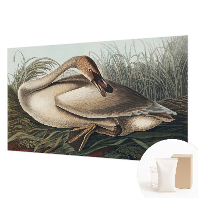 Fototapeta do ložnice Přírodní pták