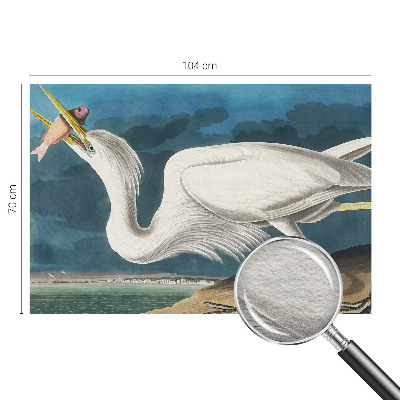 Vliesová fototapeta do obýváků Pták s rybou