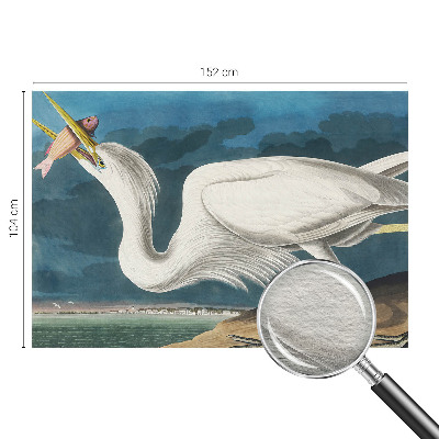 Vliesová fototapeta do obýváků Pták s rybou