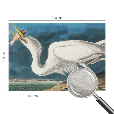 Vliesová fototapeta do obýváků Pták s rybou