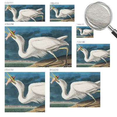 Vliesová fototapeta do obýváků Pták s rybou