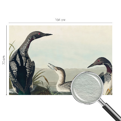 Vliesová fototapeta do ložnice Ptáci nad vodou