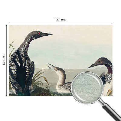 Vliesová fototapeta do ložnice Ptáci nad vodou