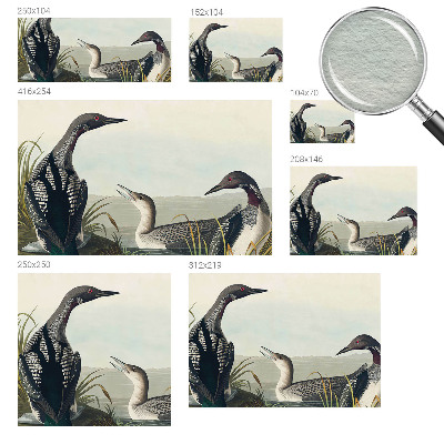 Vliesová fototapeta do ložnice Ptáci nad vodou