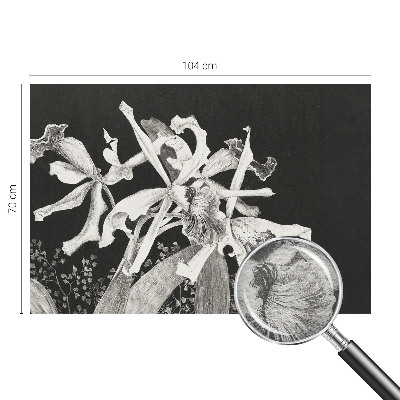 Vliesová fototapeta pro děti Ilustrace orchideje