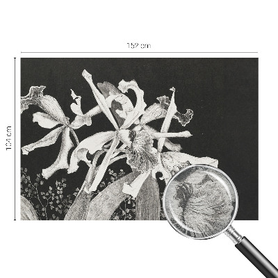 Vliesová fototapeta pro děti Ilustrace orchideje