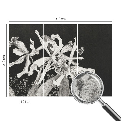 Vliesová fototapeta pro děti Ilustrace orchideje