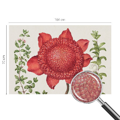 Fotografická tapeta vliesová Květinová elegance