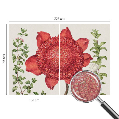 Fotografická tapeta vliesová Květinová elegance