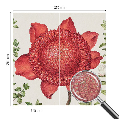 Fotografická tapeta vliesová Květinová elegance