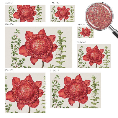 Fotografická tapeta vliesová Květinová elegance