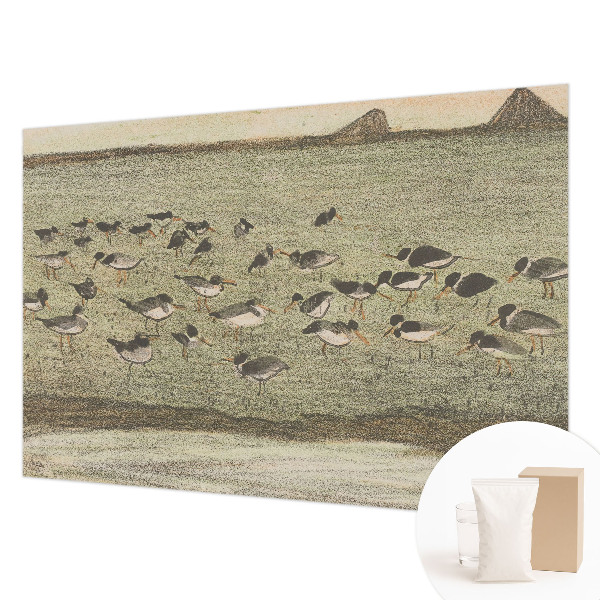 Fototapeta na stěnu Ptačí mír