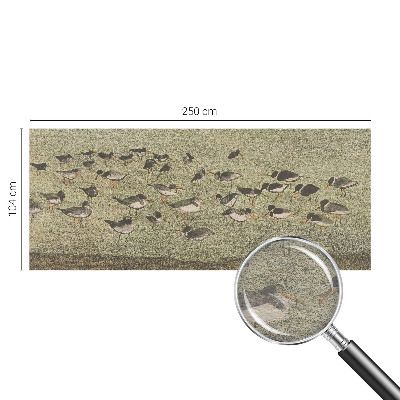 Fototapeta na stěnu Ptačí mír