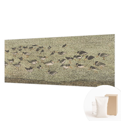 Fototapeta na stěnu Ptačí mír