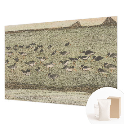 Fototapeta na stěnu Ptačí mír