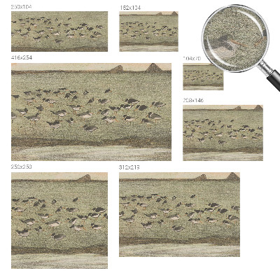 Fototapeta na stěnu Ptačí mír