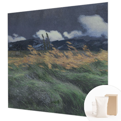 Vliesová fototapeta na zeď Nafoukané trávy