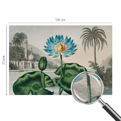 Vliesová fototapeta do obýváků Exotická krajina