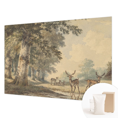 Fototapeta s potiskem na vliesu Lesní klid