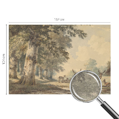 Fototapeta s potiskem na vliesu Lesní klid