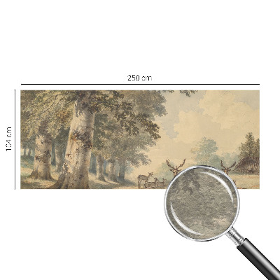 Fototapeta s potiskem na vliesu Lesní klid