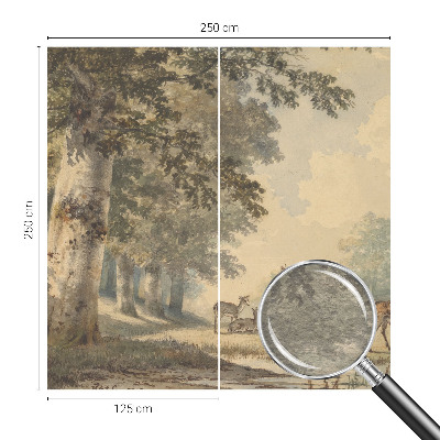 Fototapeta s potiskem na vliesu Lesní klid