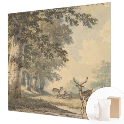 Fototapeta s potiskem na vliesu Lesní klid