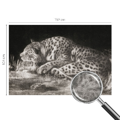 Vliesová fototapeta s potiskem Leopard odpočívá