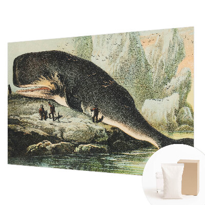 Vliesová fototapeta na zeď Mořský gigantismus