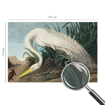 Vliesová fototapeta pro děti Majestátní volavka