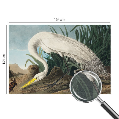 Vliesová fototapeta pro děti Majestátní volavka