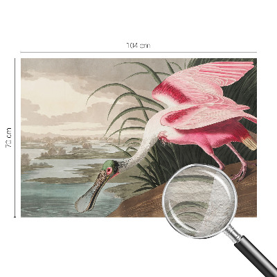 Fotografická tapeta vliesová Exotický pták