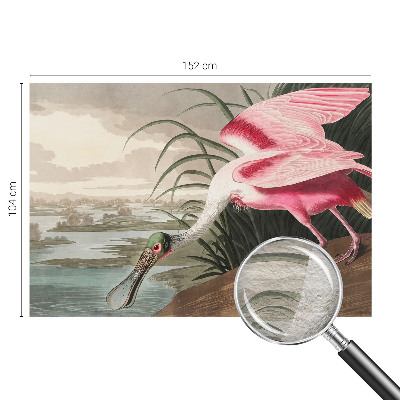 Fotografická tapeta vliesová Exotický pták